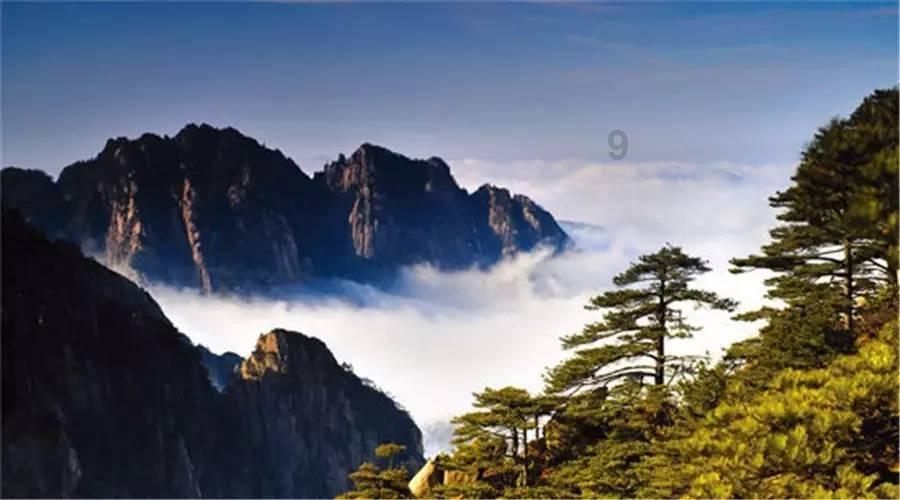 又一中国小吃在国外走红!80元一个,老外:连吃一个月都不觉得腻