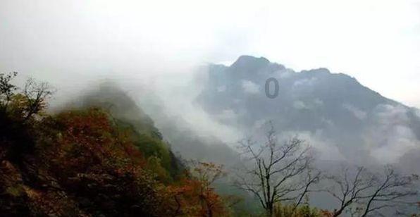 荒岛枪训